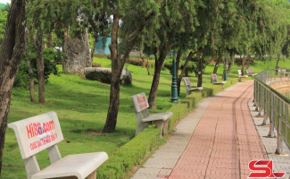 Xử lý nghiêm hành vi quảng cáo phun sơn ghế đá nơi công cộng
